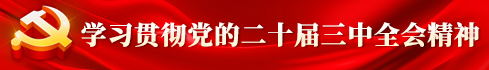 学习贯彻党的二十届三中全会精神.jpg